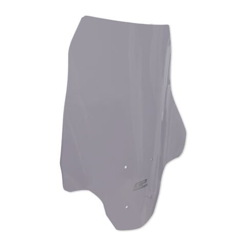 GP Kompozit BMW CE 04 2022-2024 Uyumlu Ön Cam Füme